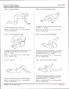 pine stretching exercise routine created by a physical therapist showing lower back stretches including angry cat stretch, lower trunk rotation, knee-to-chest stretch, pelvic tilt, and seated lower back stretch for back pain relief and spine mobility improvement.